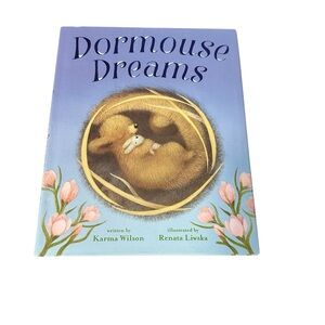 👓3 for $25👓 Dormouse Dreams Children's Book